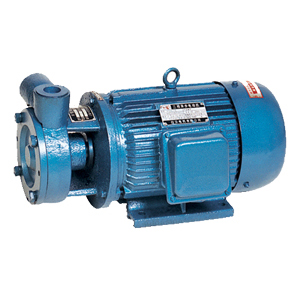 定(dìng)西W旋渦泵